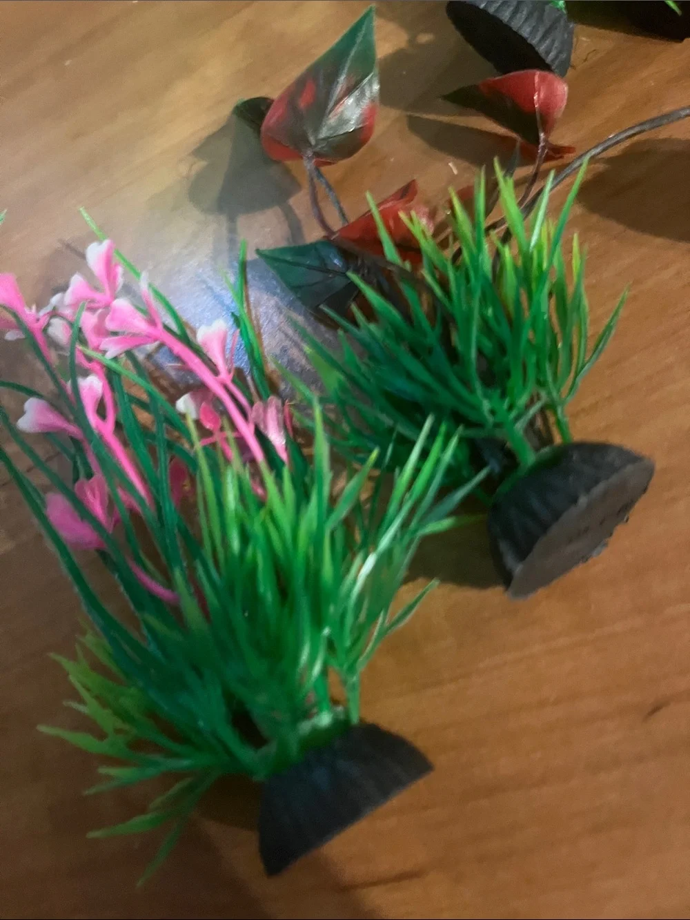 N/A vibrant pink